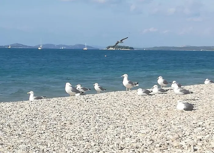 In With Sea View, Terrace, Air Conditioning, Wifi ピロヴァッツ